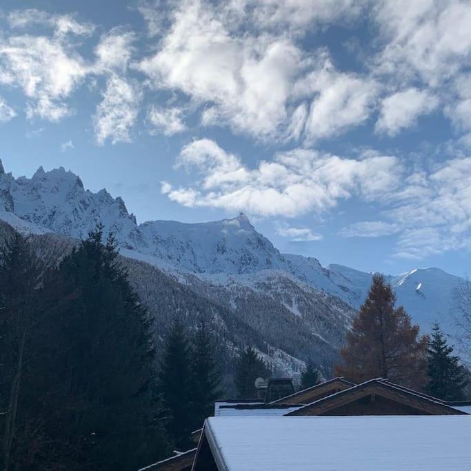 Belle Vue Des Praz Apartment Шамони Екстериор снимка