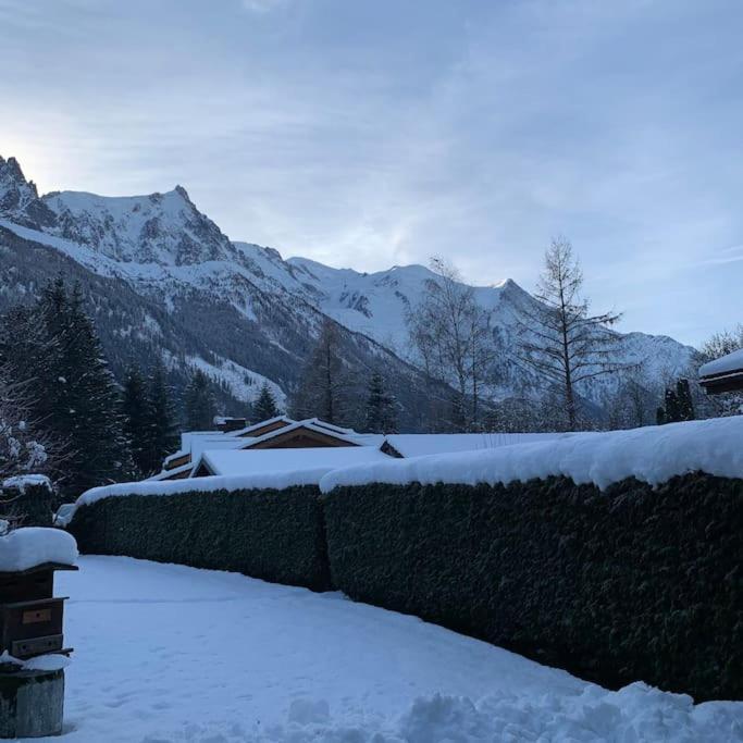 Belle Vue Des Praz Apartment Шамони Екстериор снимка