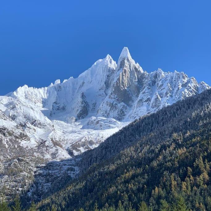 Belle Vue Des Praz Apartment Шамони Екстериор снимка
